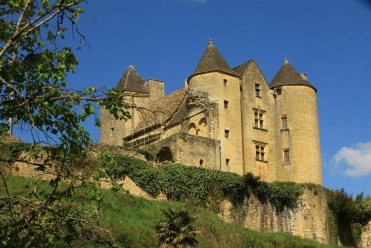 Petite Maison En Pierre Au Coeur Du Perigord Noir Proche De Sarlat Et Rocamadour Salignac Eyvigues Bagian luar foto
