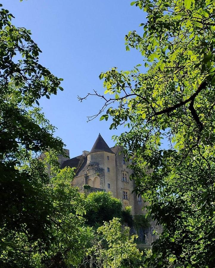 Petite Maison En Pierre Au Coeur Du Perigord Noir Proche De Sarlat Et Rocamadour Salignac Eyvigues Bagian luar foto