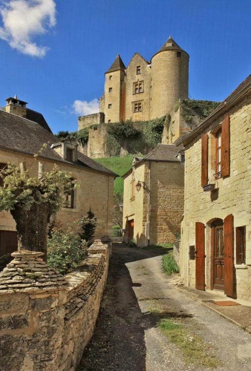 Petite Maison En Pierre Au Coeur Du Perigord Noir Proche De Sarlat Et Rocamadour Salignac Eyvigues Bagian luar foto