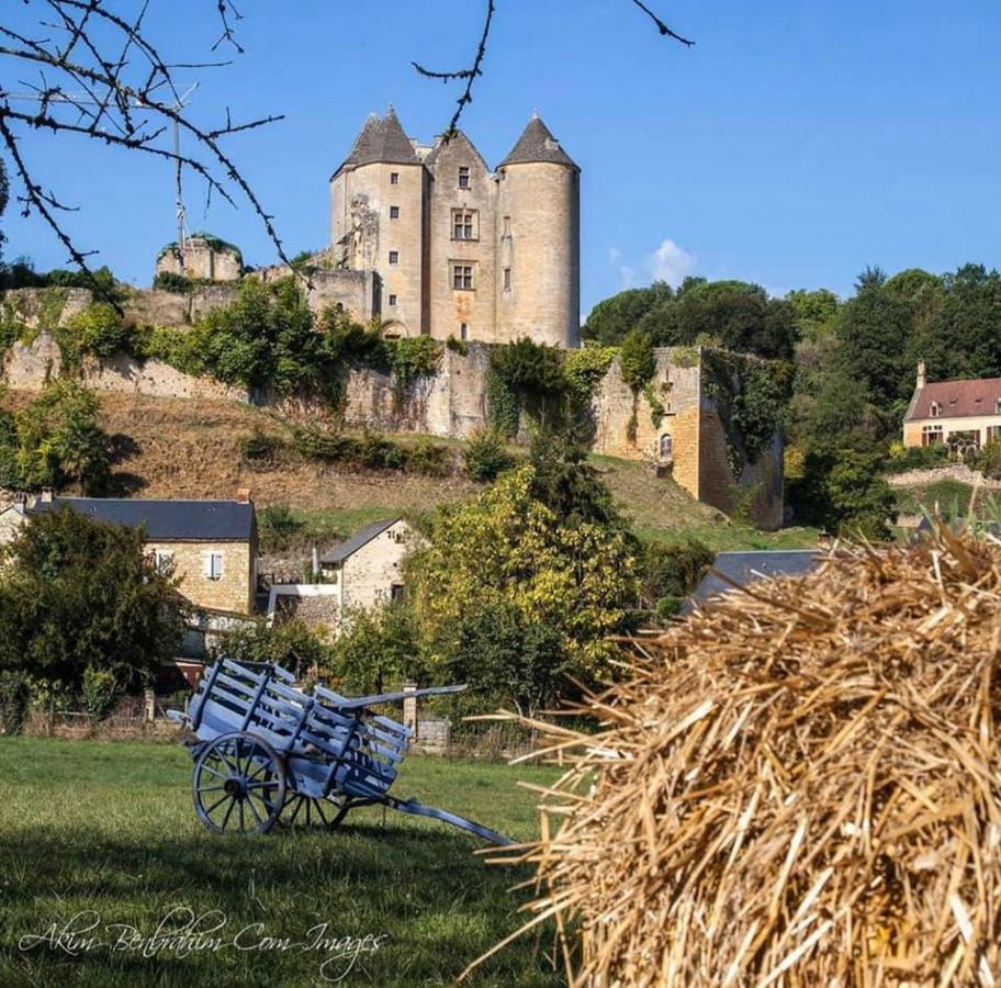 Petite Maison En Pierre Au Coeur Du Perigord Noir Proche De Sarlat Et Rocamadour Salignac Eyvigues Bagian luar foto