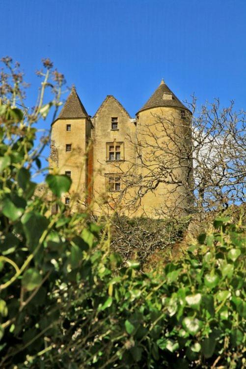 Petite Maison En Pierre Au Coeur Du Perigord Noir Proche De Sarlat Et Rocamadour Salignac Eyvigues Bagian luar foto